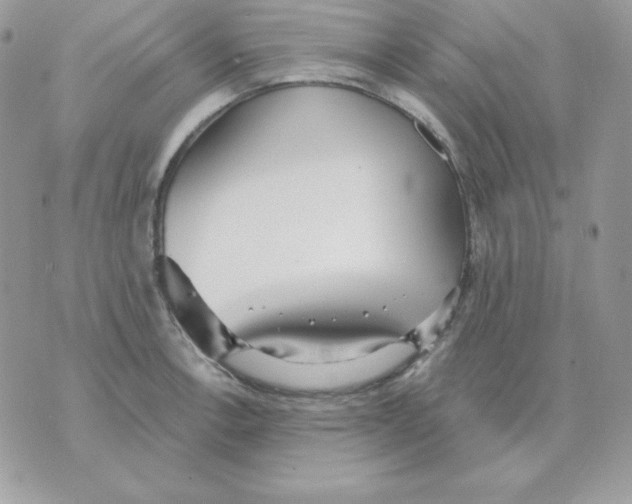 X0000070361138200607072056