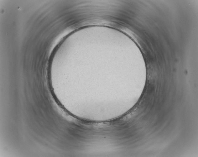 X0000070361139200607072056