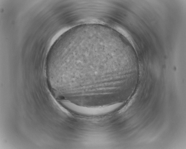 X0000070361141200607072057