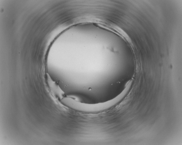 X0000070361144200607072057