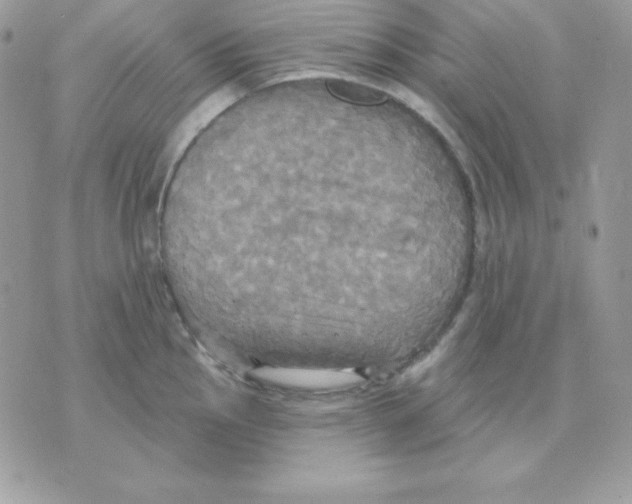 X0000070361145200607072057