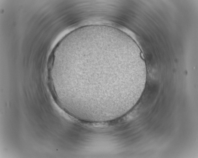 X0000070361147200607072057