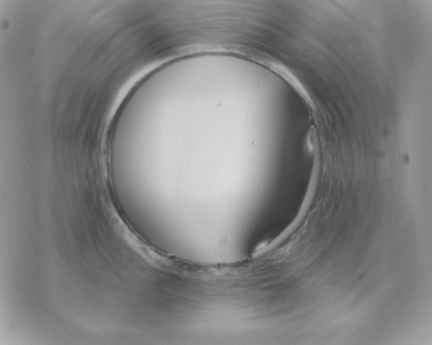 X0000070361148200607072057