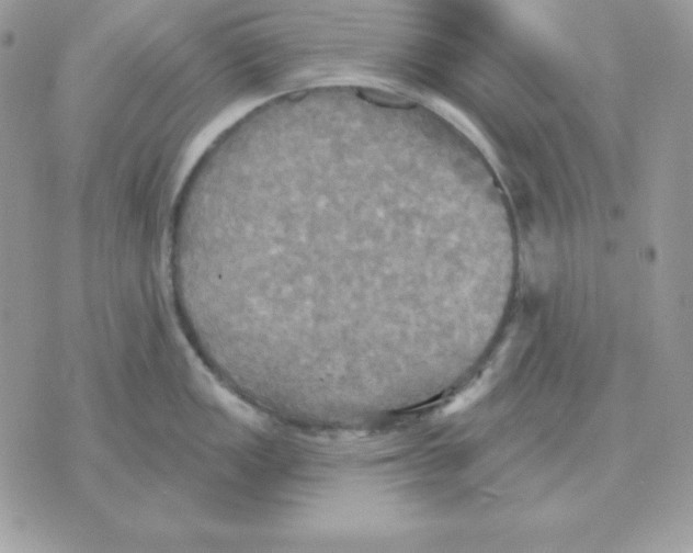 X0000070361149200607072057