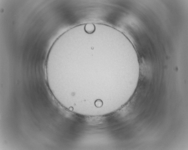 X0000070361150200607072057