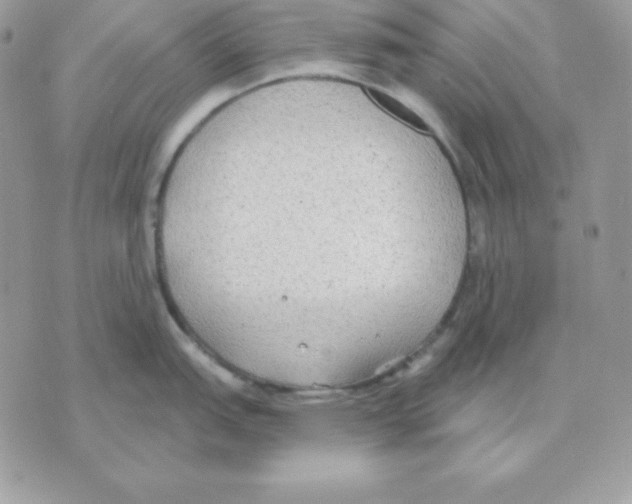 X0000070361151200607072057