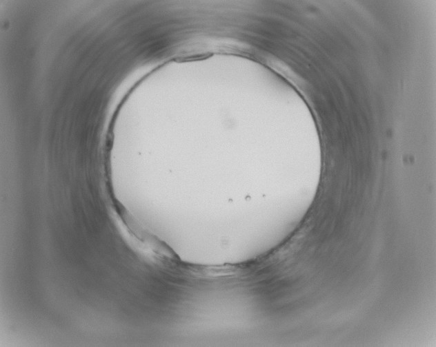 X0000070361152200607072057