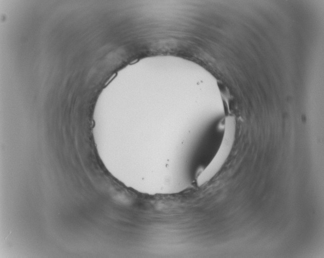 X0000070361153200607072056