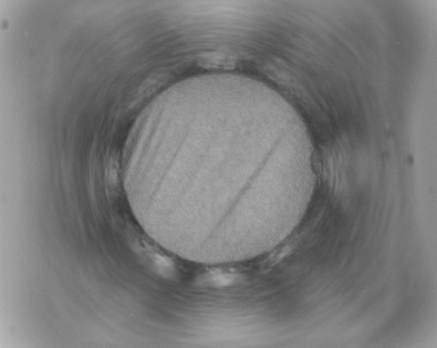 X0000070361154200607072056