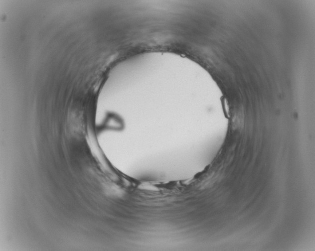 X0000070361156200607072056