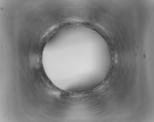 X0000070361157200607072056