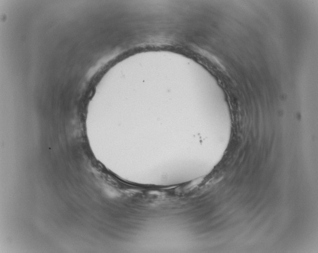 X0000070361160200607072056