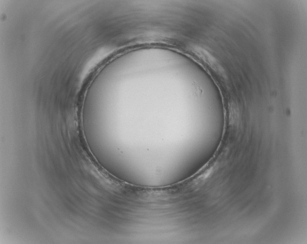 X0000070361164200607072056