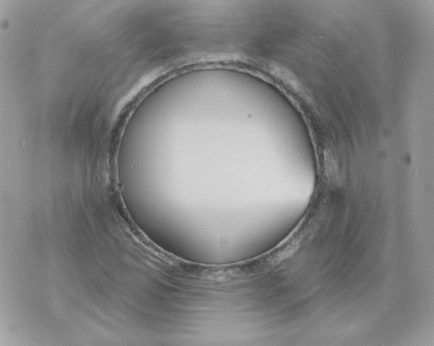 X0000070361165200607072056