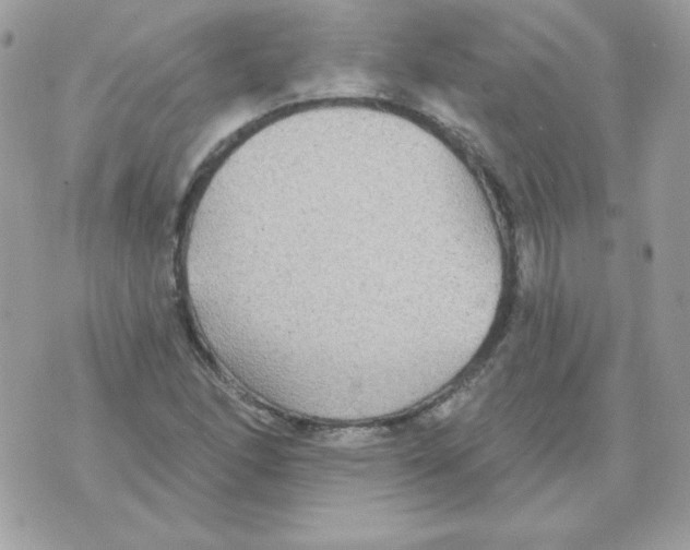 X0000070361166200607072056