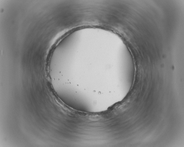 X0000070361168200607072056