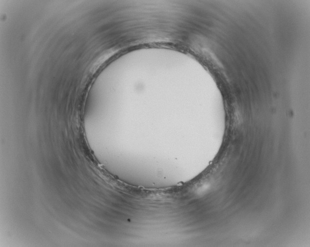 X0000070361169200607072056