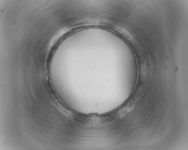 X0000070361172200607072056