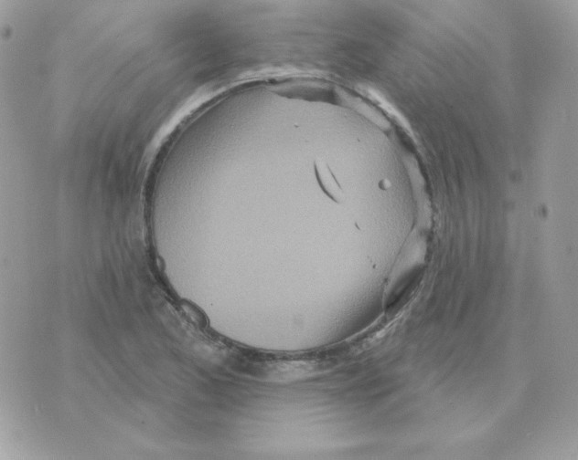 X0000070361173200607072056