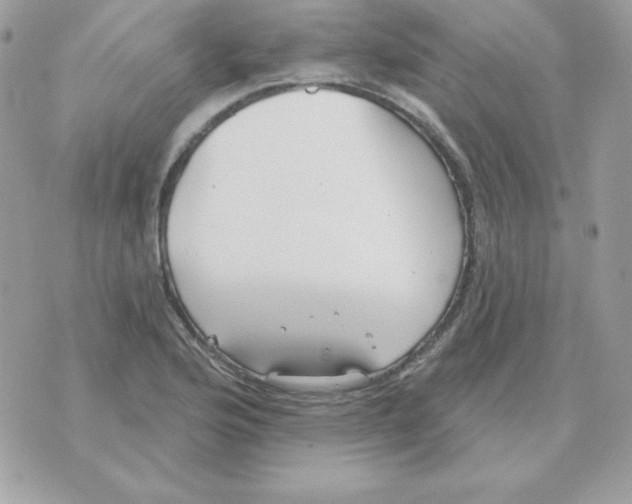 X0000070361176200607072056