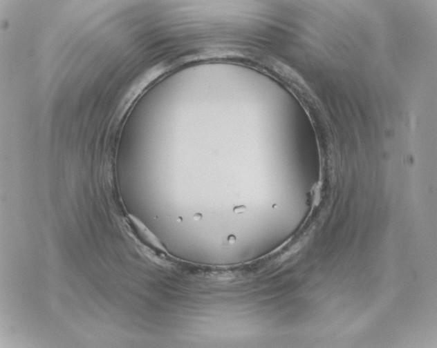 X0000070361177200607072056