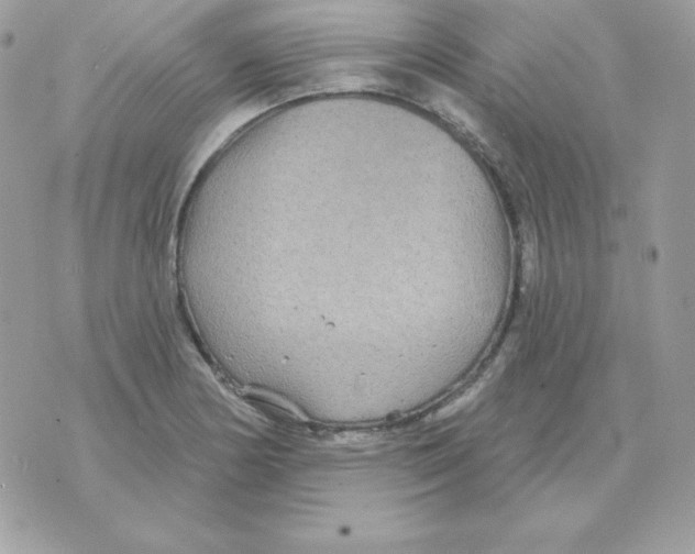 X0000070361178200607072056