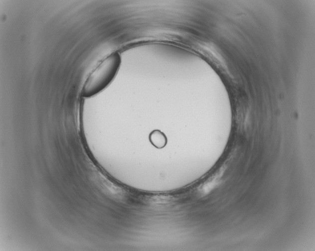 X0000070361180200607072055