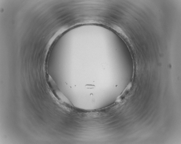 X0000070361181200607072055