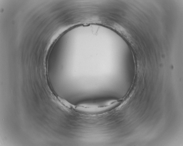 X0000070361184200607072055