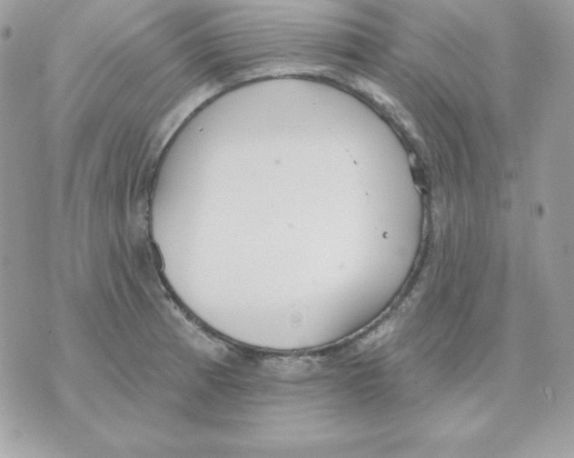 X0000070361185200607072055