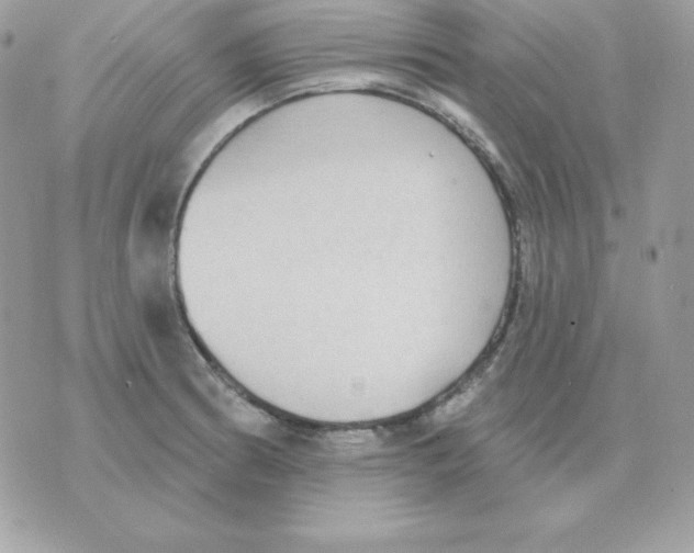 X0000070361186200607072055