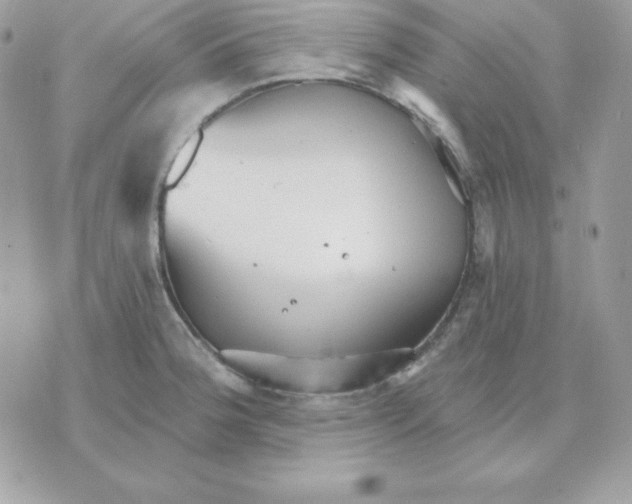 X0000070361188200607072055