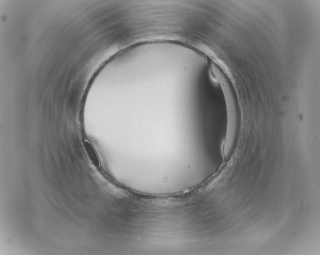 X0000070361189200607072055