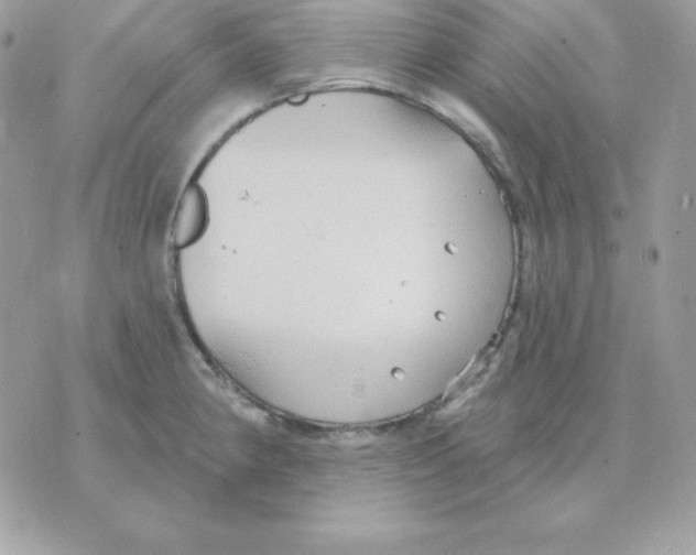 X0000070361190200607072055