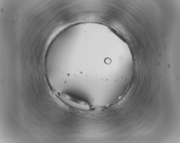 X0000070361192200607072055