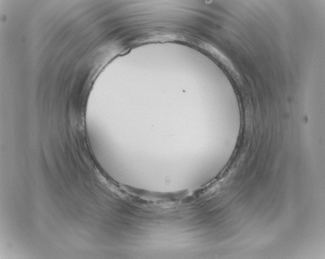 X0000070361193200607072055