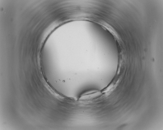 X0000070361196200607072055