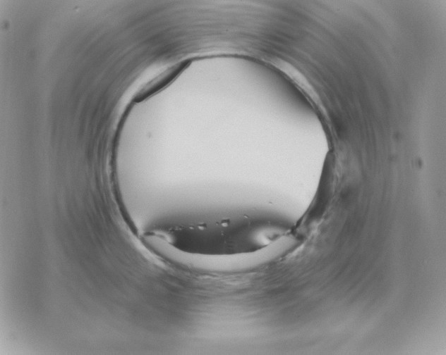 X0000070361197200607072055