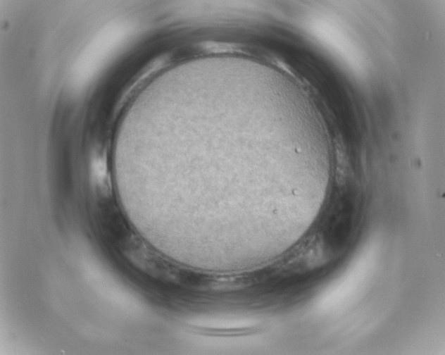 X0000070361198200607072055