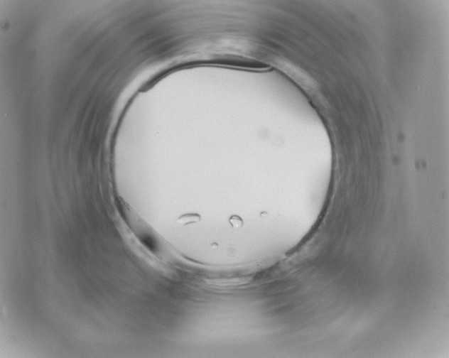 X0000070361200200607072055