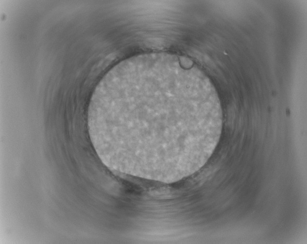 X0000070361201200607072054