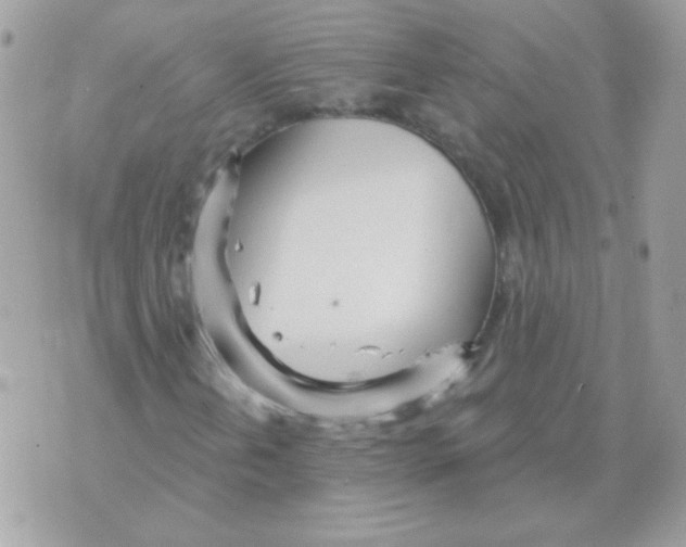 X0000070361202200607072054