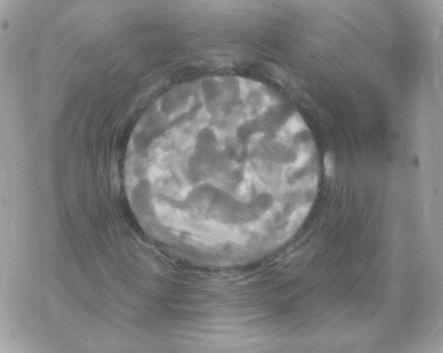 X0000070361203200607072054