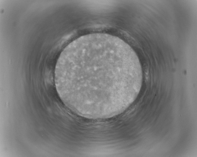 X0000070361204200607072054