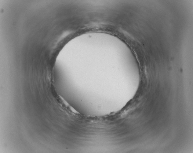 X0000070361206200607072054