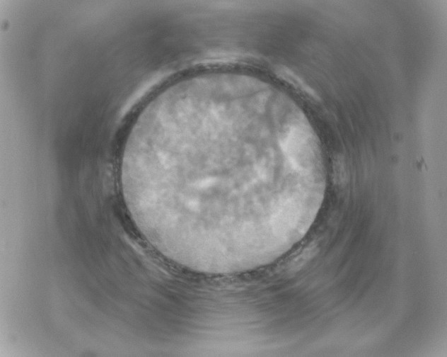 X0000070361208200607072054