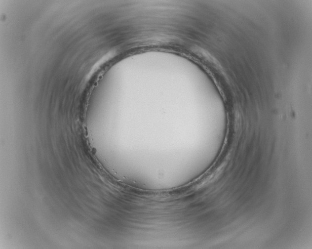 X0000070361210200607072054