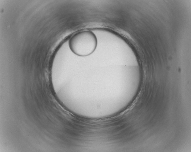 X0000070361212200607072055