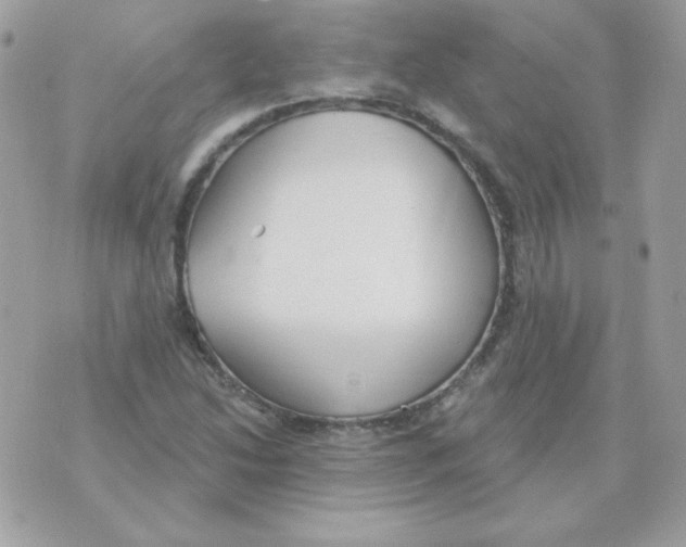 X0000070361214200607072055