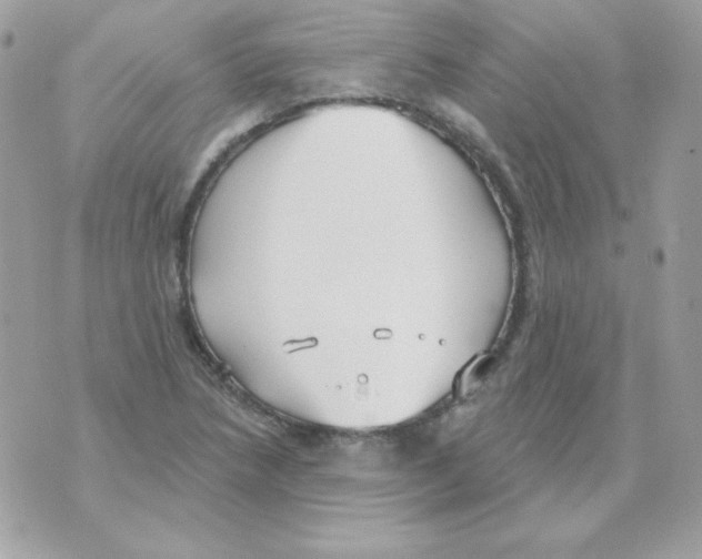 X0000070361218200607072055